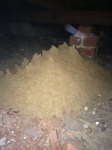 termite mound under house pest control Barossa valley