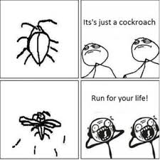 Funny cartoon of flying insect Pest Control German Cockroach