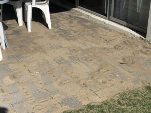 Ants over paving Pest Control Wanneroo